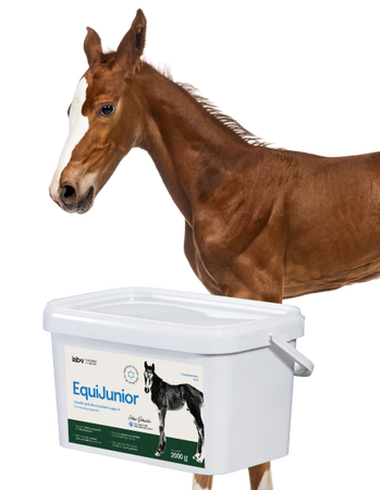 Lab-v EquiJunior Complementary feed mixture for foals, supporting growth, development, and proper nutrition of young horses and ponies 2000g