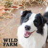 WILD FARM Sandwich with lamb and cod 500g dog treats