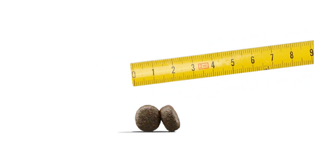 JOSERA Adult Light &amp; Vital 12.5 kg