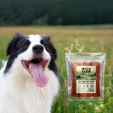WILD FARM duck and rice sticks 500g dog treats