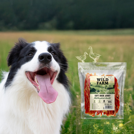 WILD FARM soft duck breast 500g dog treats