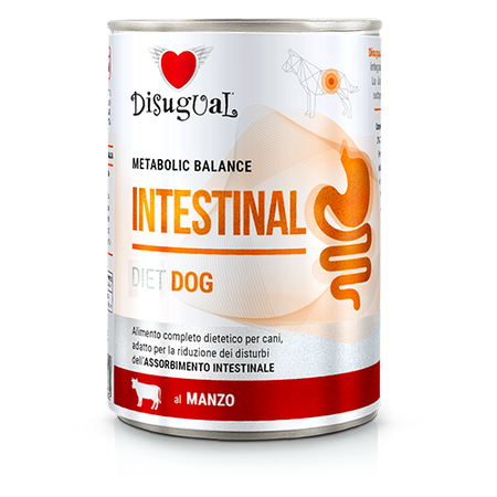 Disugual Wet dog food Veterinary INTESTINAL Beef (adult) 6x400g
