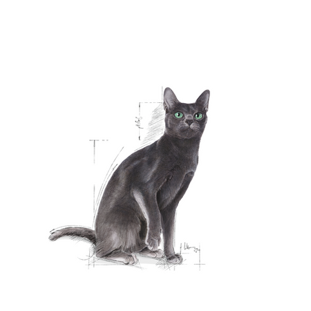 ROYAL CANIN Sterilized 37 400g