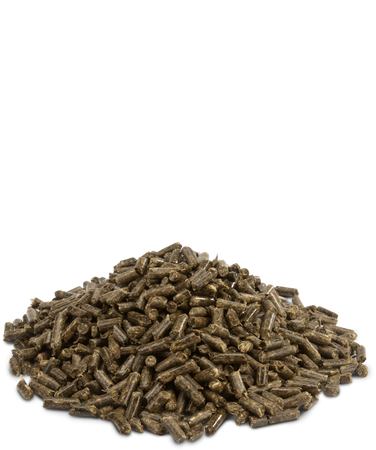 Versele-Laga Crispy Pellets Chinchilla &amp; Degu 1kg