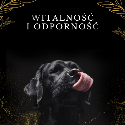 Lab-V 100% Salmon Oil for Dogs and Cats of All Ages 500ml Cold-pressed