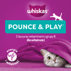 WHISKAS Energy and Vitality 45g – cat treat with chicken
