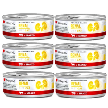 Disugual Wet Cat Food Veterinary RENAL Beef (adult) 6x85g