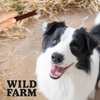 WILD FARM Rabbit dental tubes 2x500g dog treats