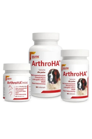 DOLFOS ArthroHa – a preparation supporting the treatment of joint disorders, 90 tablets.