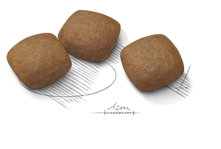 ROYAL CANIN CCN Maxi Joint Care 10kg