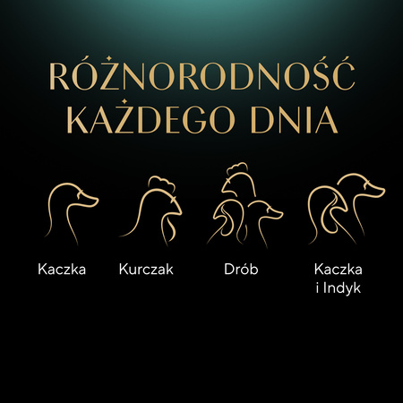  SHEBA Selection Select Slices Poultry Flavours pouches  40x85g 