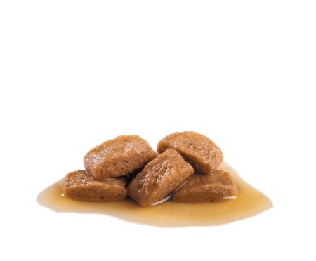 ROYAL CANIN Maxi Adult 10x140g