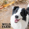WILD FARM lamb ears 300g dog treats
