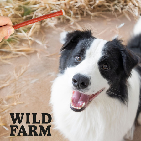 WILD FARM lamb sticks 2x500g dog treats