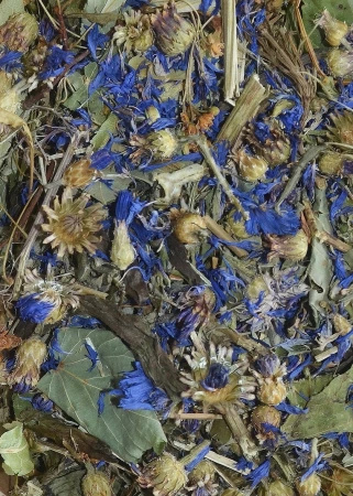 Korona Natury Paszer food for guinea pigs Herbal mixture with cornflower 3x70 g