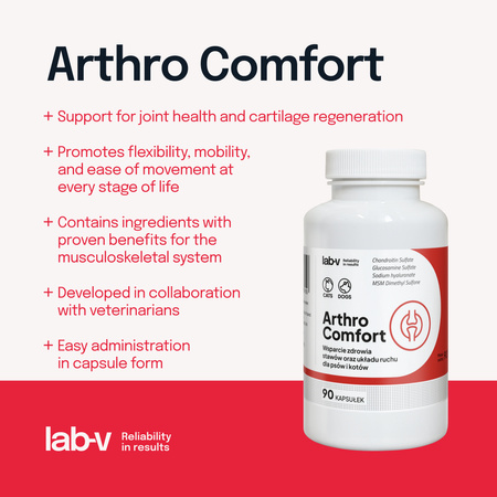 Lab-v Arthro Comfort – Comprehensive support for joint and musculoskeletal health in dogs and cats 2x90 capsules