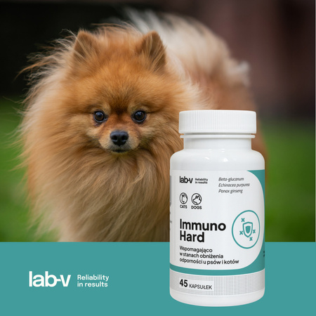Lab-v Immuno Hard – Immunity booster for dogs and cats, 2x45 capsules