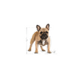 ROYAL CANIN French Bulldog Adult 9kg