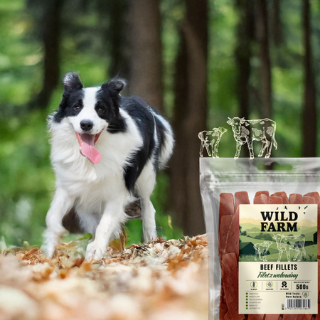 WILD FARM beef fillet 500g dog treats