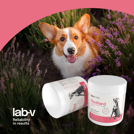 FlexiHard – support for the proper condition of joints and the musculoskeletal system for dogs 200 g