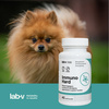 Lab-v Immuno Hard – Immunity booster for dogs and cats, 2x45 capsules