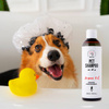 PET Shampoo Argan Oil_Argan Shampoo 250ml Hypoallergenic