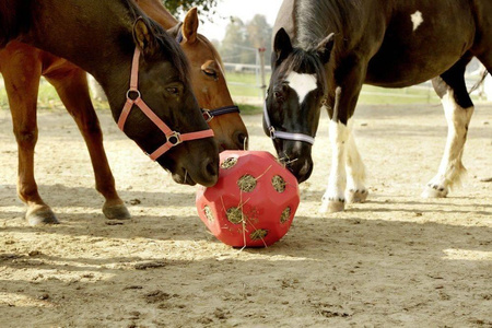 KERBL HeuBoy horse ball