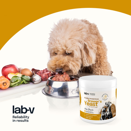 Lab-v Brewer's Yeast - Natural support for digestion, appetite, and skin and coat condition 2x200 g