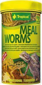 Tropical Meal Worms 100ml