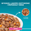 Purina One Junior Kitten Food with salmon and carrots 85g