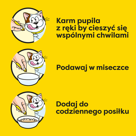 DREAMIES Creamy Cheese 4x10g