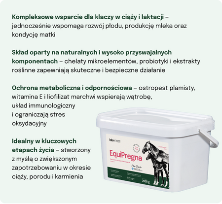 Lab-v EquiPregna Complementary feed mixture for pregnant and lactating mares, supporting pregnancy, fetal development, and milk production 2000g