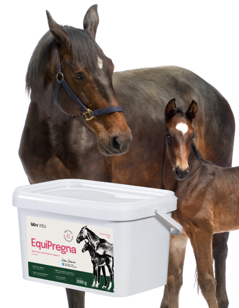 Lab-v EquiPregna Complementary feed mixture for pregnant and lactating mares, supporting pregnancy, fetal development, and milk production 2000g