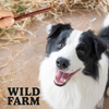 WILD FARM beef sticks 2x500g dog treats