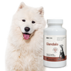 Lab-v Glandala - Supports the proper functioning of the anal glands and digestive tract in dogs 2x90 capsules 
