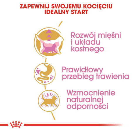 ROYAL CANIN British Shorthair Kitten 2kg dry food for kittens, up to 12 months, British Shorthair breed