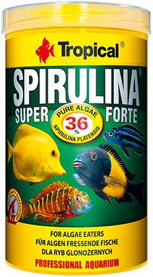 Tropical Super Spirulina Forte 250 ml