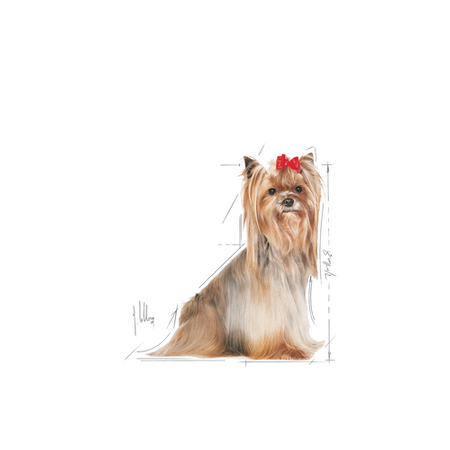 ROYAL CANIN Yorkshire Terrier Adult 8+ 1.5kg