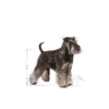 ROYAL CANIN Miniature Schnauzer Adult 3kg