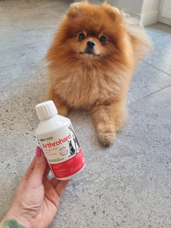 Lab-v Arthrohard 3x500ml Joint support supplement for dogs and cats