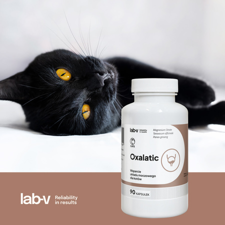Lab-v Oxalatic – Support for cats with oxalate stone formation 2x45 capsules