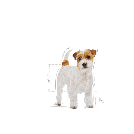 no pork ROYAL CANIN Jack Russell Terrier Adult 1.5kg