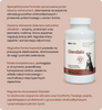 Lab-v Glandala - Supports the proper functioning of the anal glands and digestive tract in dogs 90 capsules