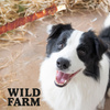 WILD FARM Long beef skin stick with duck 28cm 320g dog treats