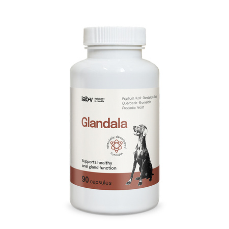 Lab-v Glandala - Supports the proper functioning of the anal glands and digestive tract in dogs 2x90 capsules 