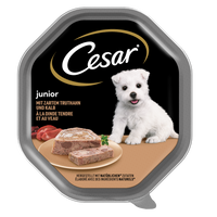 CESAR Junior tray 150 g – complete wet food for puppies, with turkey and veal, in pate