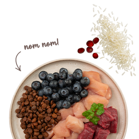 BOSCH Sanabelle Adult Sensitive Lamb 8kg