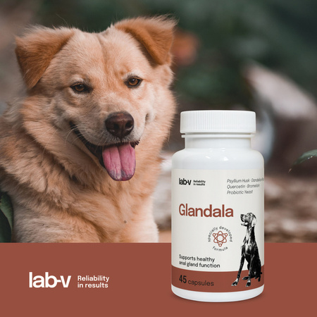 Lab-v Glandala - Supports the proper functioning of the anal glands and digestive tract in dogs 2x45 capsules 