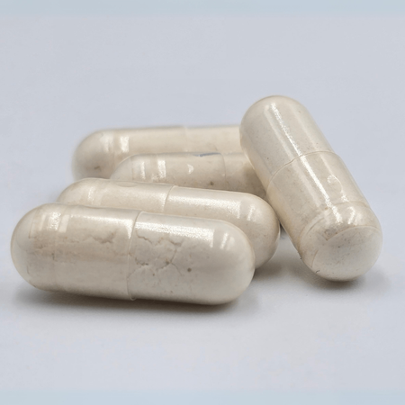 GAME DOG Flora Protect 60 capsules