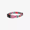 ZEE DOG Mahalo M dog collar